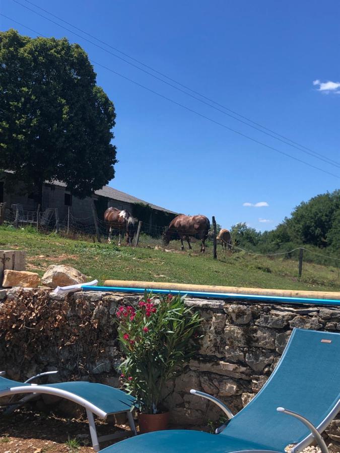 La Ferme De La Truffe Chambres D Hotes Cuzance エクステリア 写真